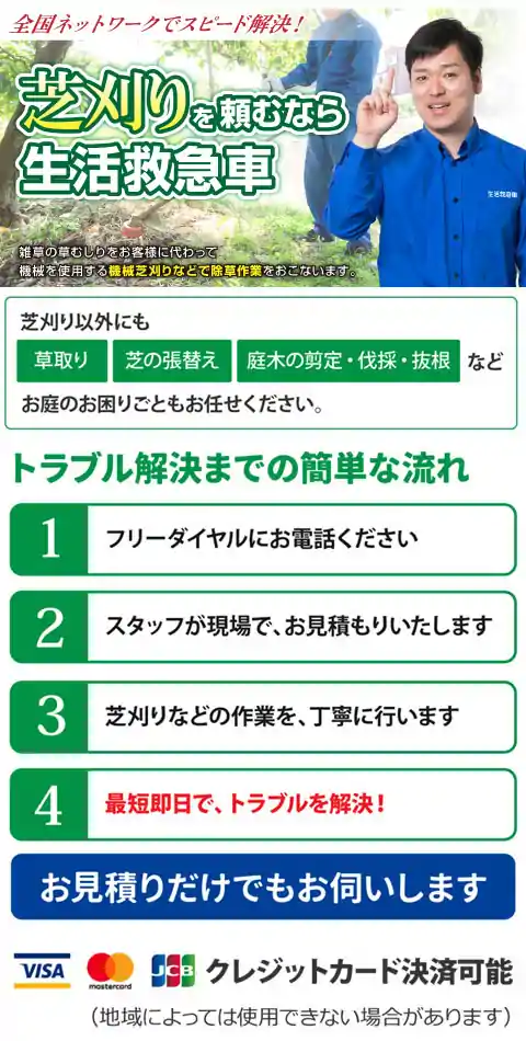 庭木 植木 の伐採方法 自分で切る 倒す 道具や処分の仕方 庭木 植木 の伐採方法 自分で切る 倒す 道具や処分の仕方