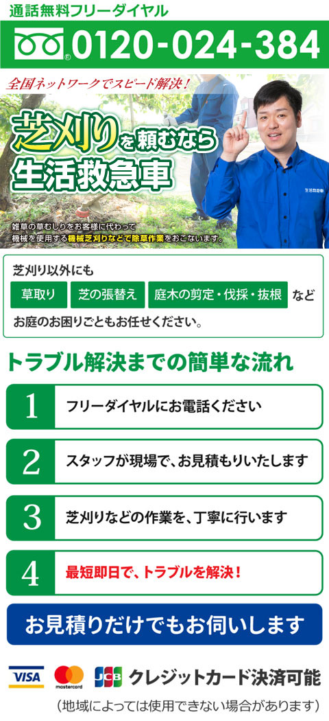 練馬区 庭木 剪定 植木 剪定 伐採 植木屋 お庭業者