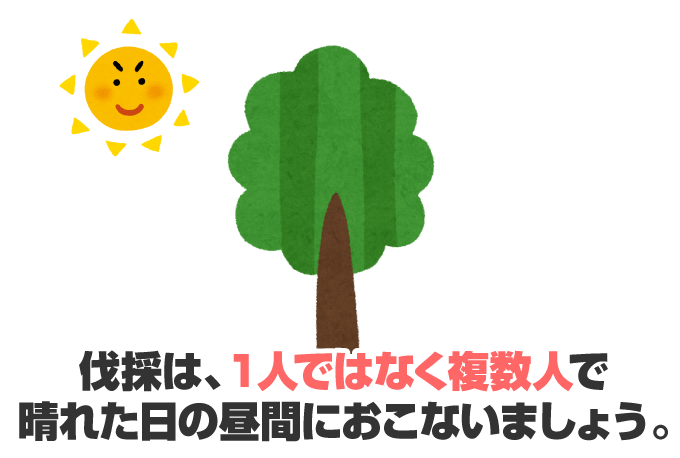 庭木 植木 の伐採方法 自分で切る 倒す 道具や処分の仕方