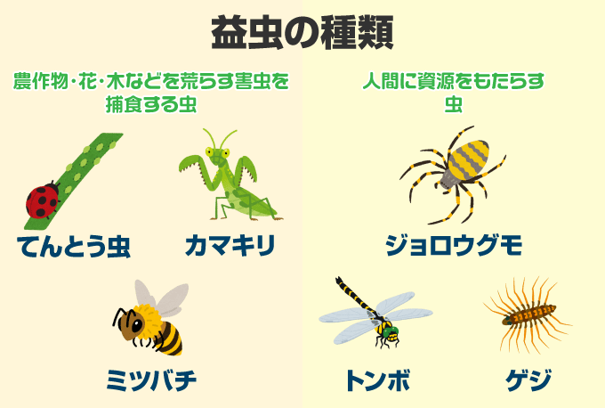 庭木 植木 の害虫対策 自分でできる消毒 防除 ガーデニング 庭木 植木 の害虫対策 自分でできる消毒 防除 ガーデニング