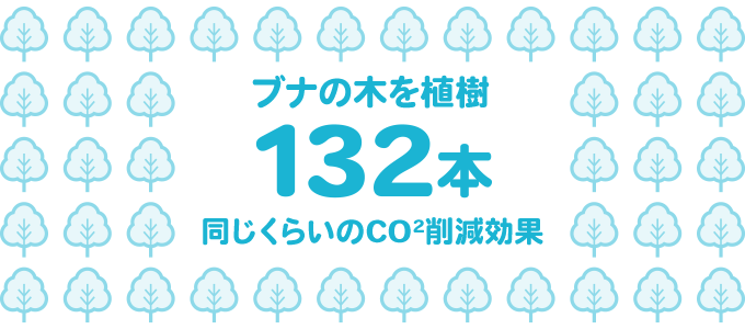 年間132本のブナの木を植樹したのと同じぐらいのCO2削減の効果