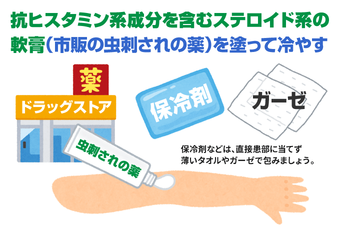 蜂に刺された 症状と対処法 応急処置 アナフィラキシーショック 蜂に刺された 症状と対処法 応急処置 アナフィラキシーショック
