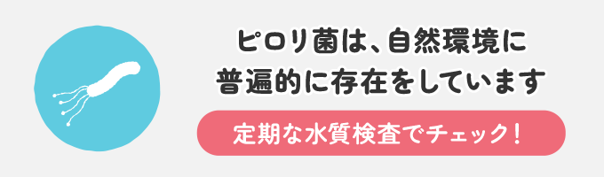 ピロリ菌は自然環境に普遍的に存在をしています。