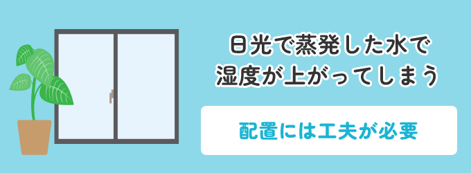 4. 植物や水槽などを窓の近くに置かない